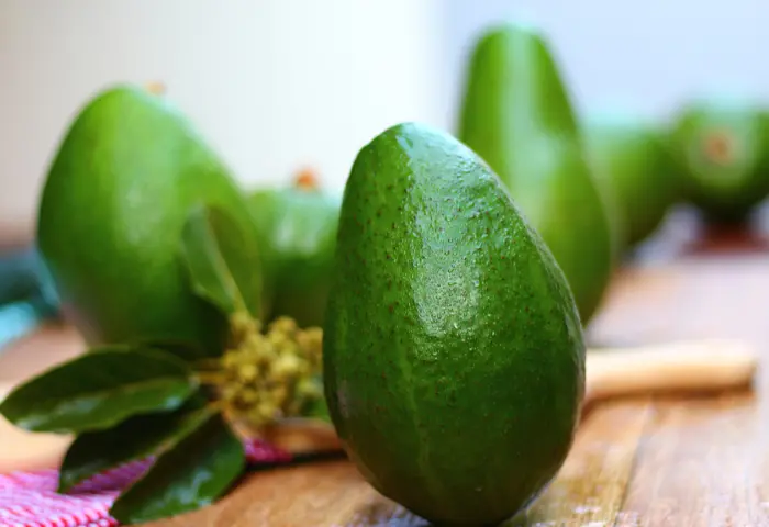Diferentes tipos de abacates – safras e receitas