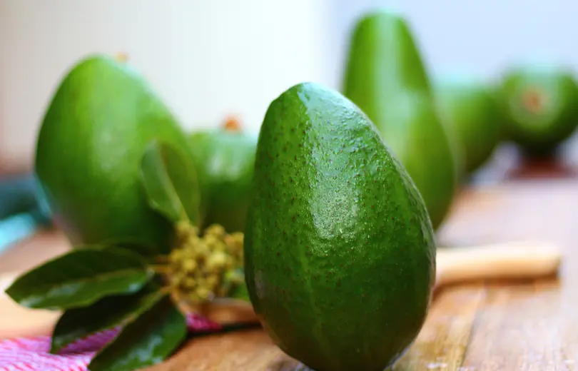 Diferentes tipos de abacates – safras e receitas