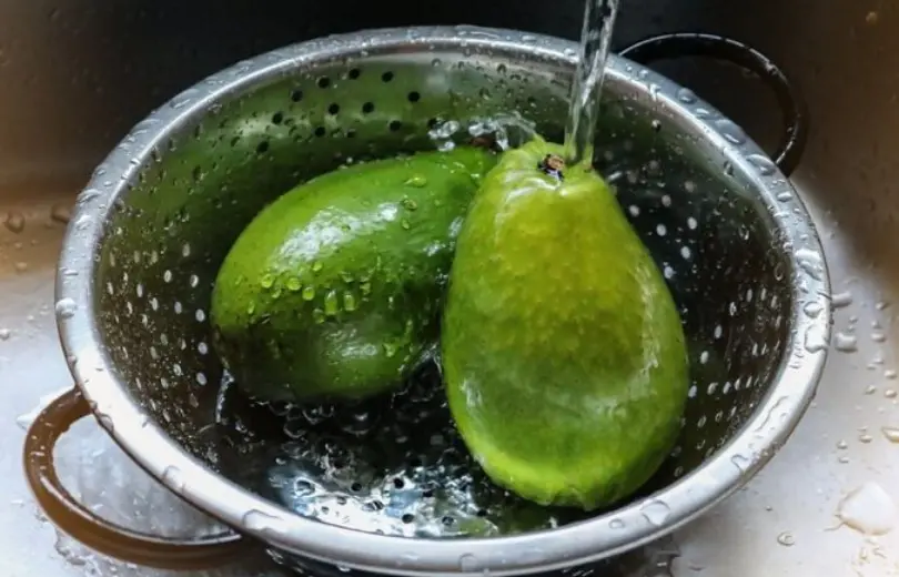 Aprenda a higienizar frutas, legumes e verduras